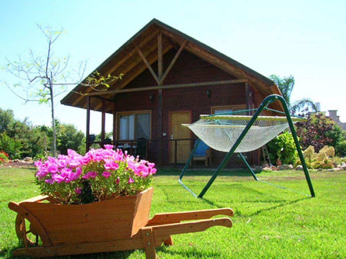 Вілла Tal Nof Cabins Manot Номер фото