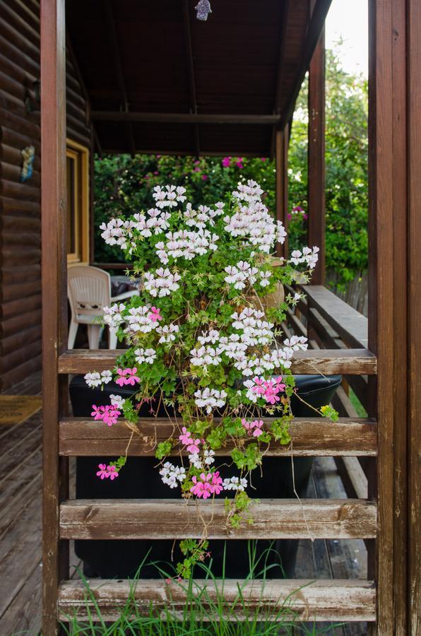 Вілла Tal Nof Cabins Manot Екстер'єр фото